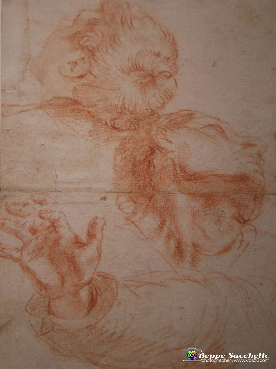 VBS_0035 - Mostra Nel segno di Raffaello.jpg